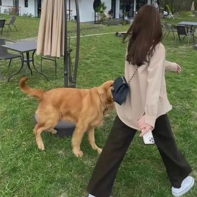 儿女英雄